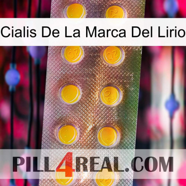 Lily Brand Cialis new11.jpg